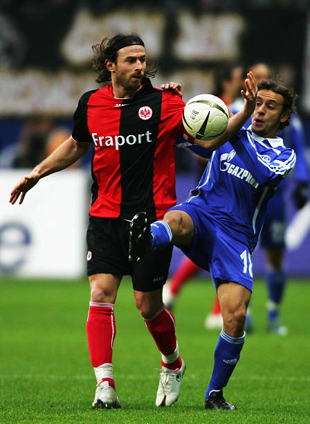 的重要拼图 的重要拼图